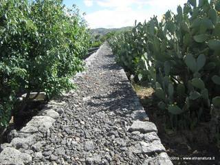 ndolito-11-06-2014 07-40-54
